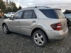 2008 Mercedes-Benz ML 350