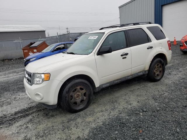 2012 Ford Escape XLT