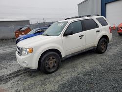 Salvage cars for sale at Elmsdale, NS auction: 2012 Ford Escape XLT