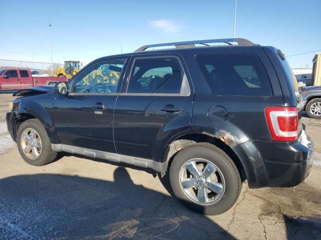 2010 Ford Escape Limited