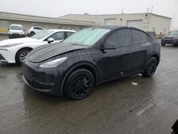 Salvage cars for sale at Martinez, CA auction: 2023 Tesla Model Y