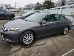 2014 Honda Accord EXL en venta en Moraine, OH