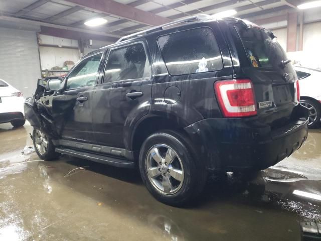 2009 Ford Escape XLT