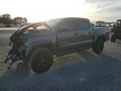 Salvage cars for sale at Lumberton, NC auction: 2020 Toyota Tacoma Double Cab