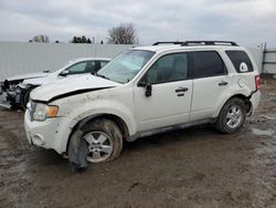 2010 Ford Escape XLT en venta en Portland, MI