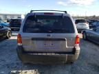 2007 Ford Escape XLT