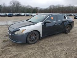 Nissan salvage cars for sale: 2010 Nissan Maxima S