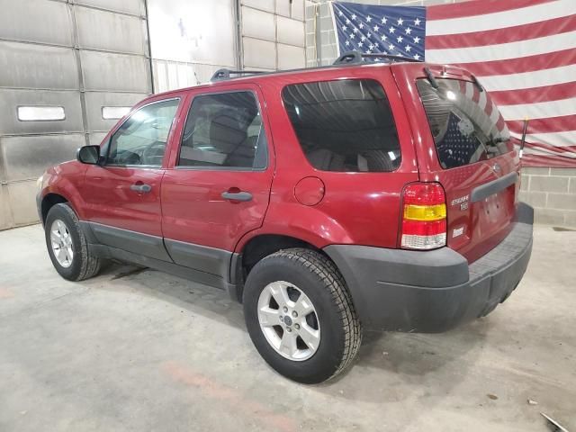 2007 Ford Escape XLT