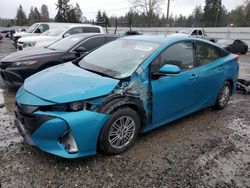 Toyota salvage cars for sale: 2019 Toyota Prius Prime