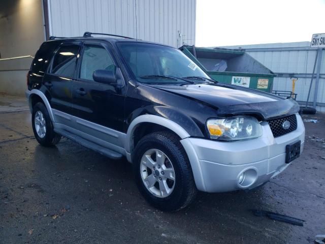 2007 Ford Escape XLT