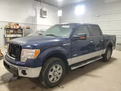 Salvage trucks for sale at Des Moines, IA auction: 2011 Ford F150 Supercrew