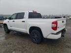 2021 Toyota Tundra Crewmax SR5