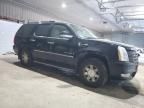 2007 Cadillac Escalade Luxury