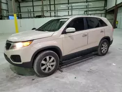 2011 KIA Sorento Base en venta en Lawrenceburg, KY