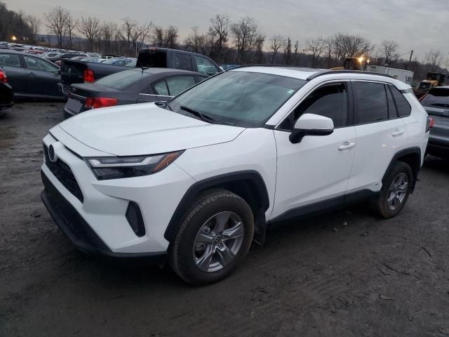 2024 Toyota Rav4 XLE