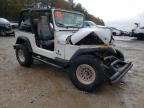 1995 Jeep Wrangler / YJ S