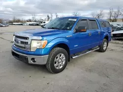 Ford salvage cars for sale: 2013 Ford F150 Supercrew