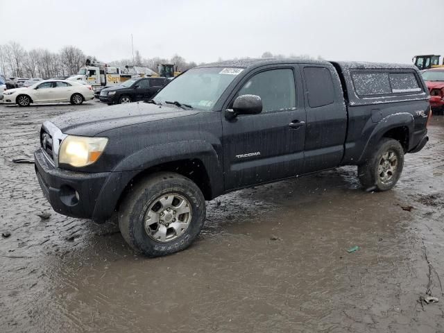 2005 Toyota Tacoma Access Cab