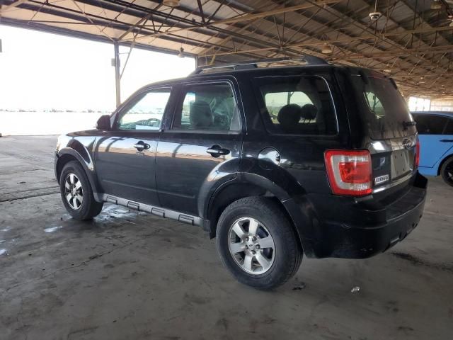 2009 Ford Escape Limited