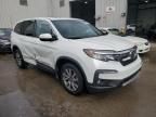 2021 Honda Pilot EXL