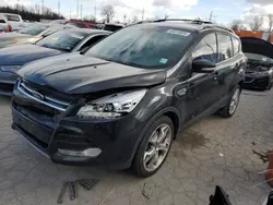 Ford salvage cars for sale: 2013 Ford Escape Titanium