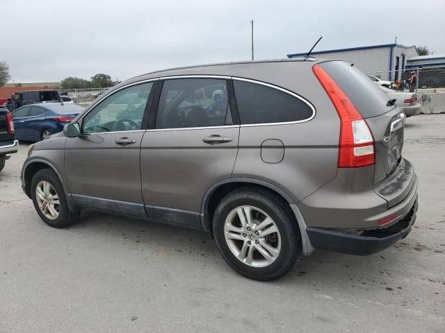 2010 Honda CR-V EXL