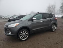 2016 Ford Escape SE en venta en London, ON