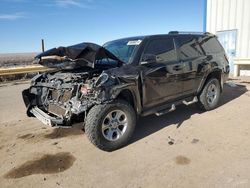 Salvage cars for sale from Copart Albuquerque, NM: 2019 Toyota 4runner SR5