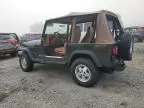 1995 Jeep Wrangler / YJ S