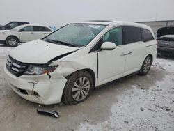 Honda Vehiculos salvage en venta: 2015 Honda Odyssey EXL