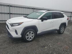 Salvage cars for sale at Fredericksburg, VA auction: 2020 Toyota Rav4 LE