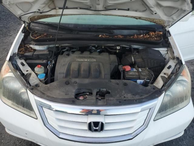 2010 Honda Odyssey EX