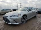 2019 Lexus ES 300H