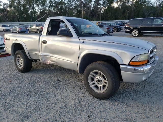 2003 Dodge Dakota SXT