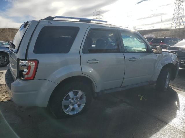 2009 Ford Escape Limited