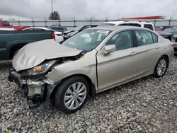 Honda Accord exl salvage cars for sale: 2013 Honda Accord EXL