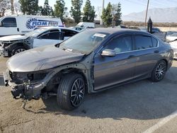 Salvage cars for sale from Copart Rancho Cucamonga, CA: 2013 Honda Accord EXL