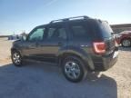 2008 Ford Escape Limited