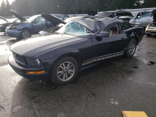 2005 Ford Mustang