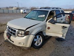 Salvage cars for sale at Louisville, KY auction: 2009 Ford Escape XLT