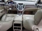 2010 Cadillac SRX Performance Collection