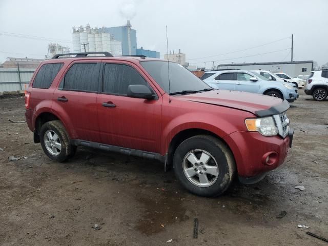 2012 Ford Escape XLT