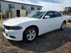 Dodge salvage cars for sale: 2022 Dodge Charger SXT