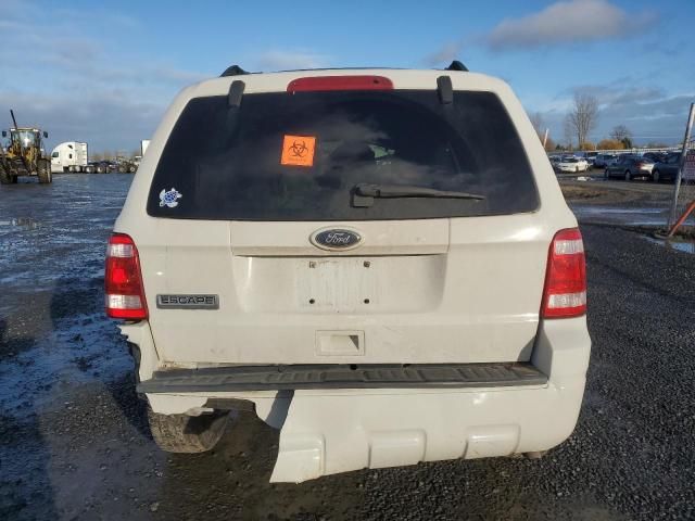 2011 Ford Escape XLT