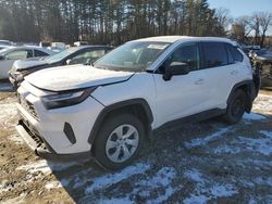 Salvage cars for sale from Copart North Billerica, MA: 2023 Toyota Rav4 LE