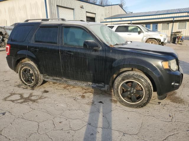 2009 Ford Escape XLT