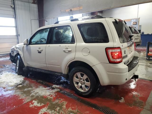 2010 Ford Escape Limited