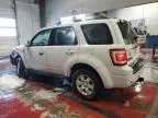 2010 Ford Escape Limited