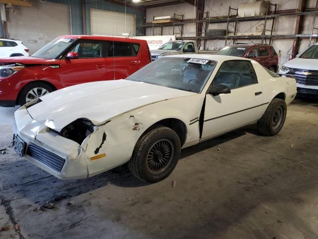 1984 Pontiac Firebird