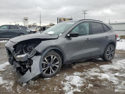 Ford Vehiculos salvage en venta: 2022 Ford Escape SEL